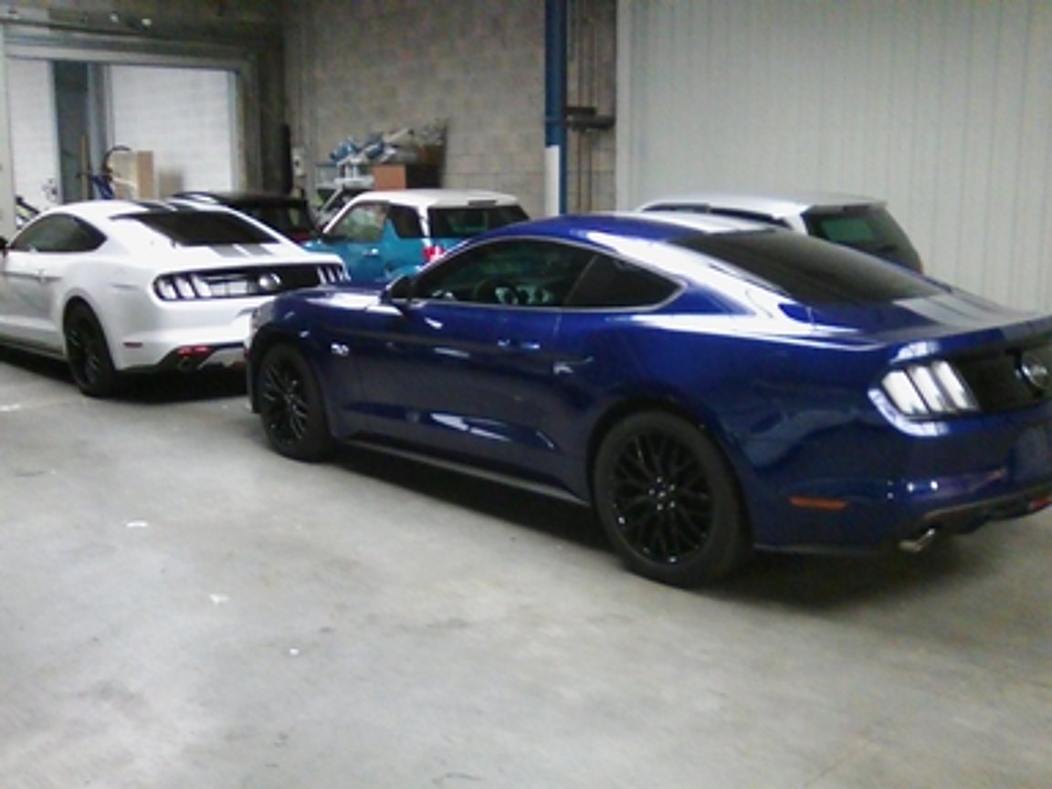 Une Ford Mustang bleue métallisée est garée à l'intérieur d'un atelier à côté d'une Mustang blanche et d'autres véhicules.