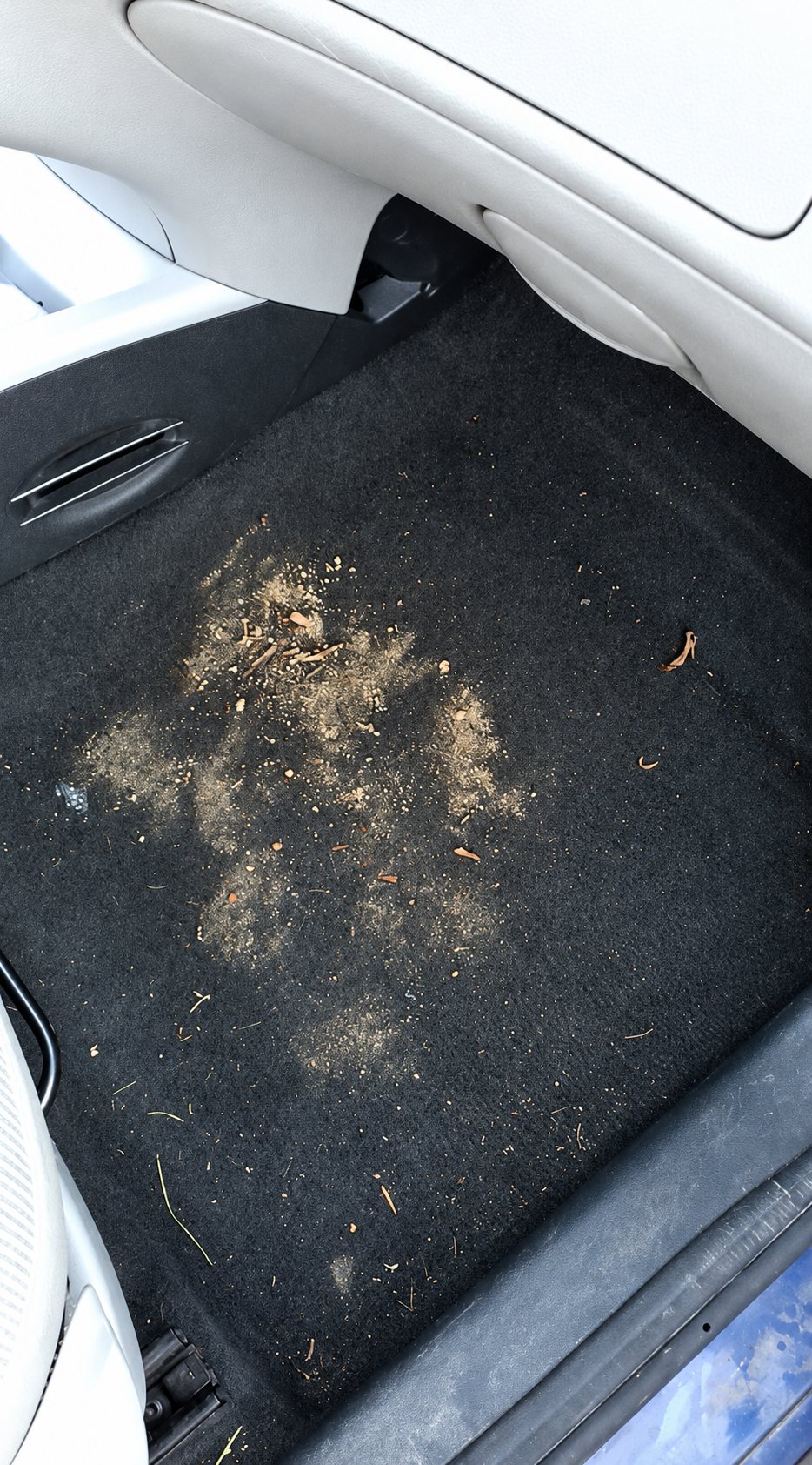 Tapis de sol couvert de poussière avant nettoyage